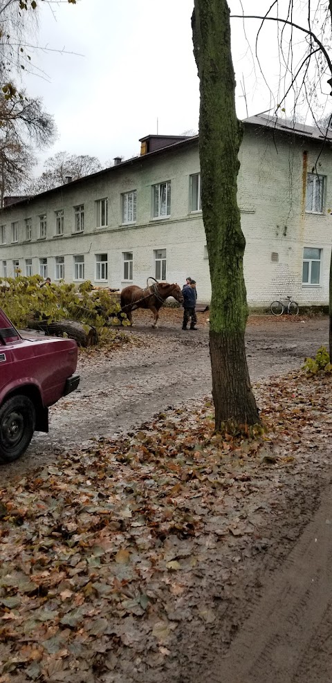 Центральна районна лікарня