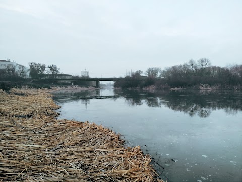 Гнідавське болото