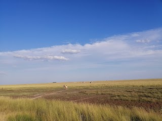 Азово-Сиваський національний природний парк