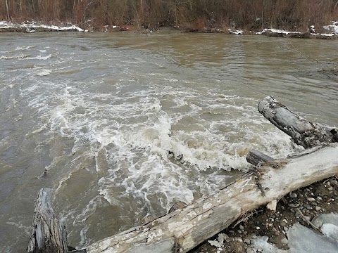 Літня Риболовля Джаффа