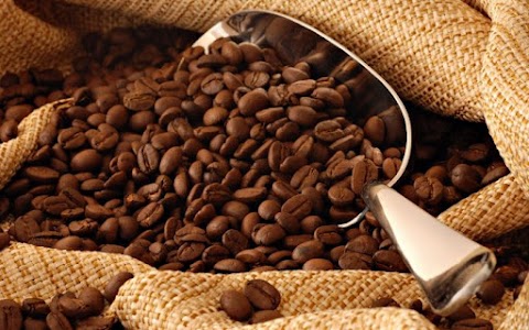 Кофе в зернах свежеобжаренный Fresh Bean Coffee