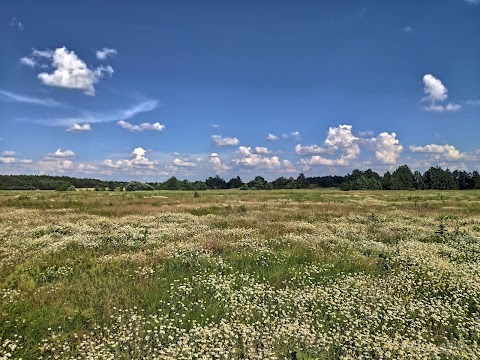 Гетьманський національний природний парк