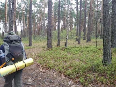 Зона відпочинку "9 ліс"