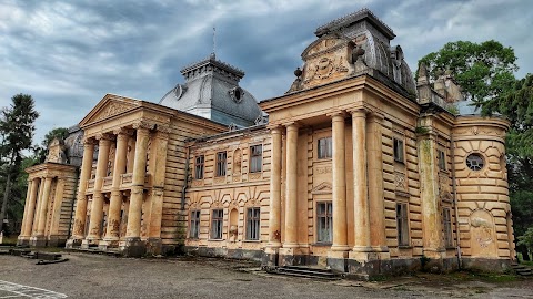 Палац графа Бадені ХІХ ст.