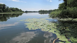 Хортицькі плавні