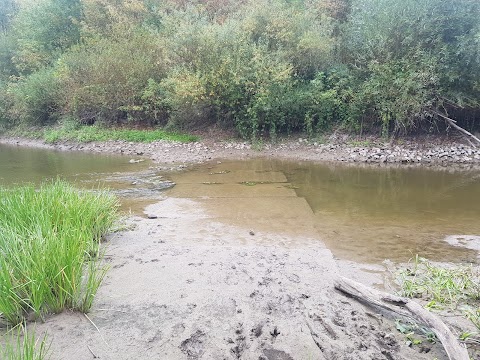 Гнідавське болото