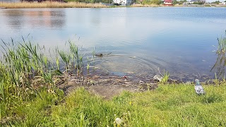 Lake "Raduzhne"