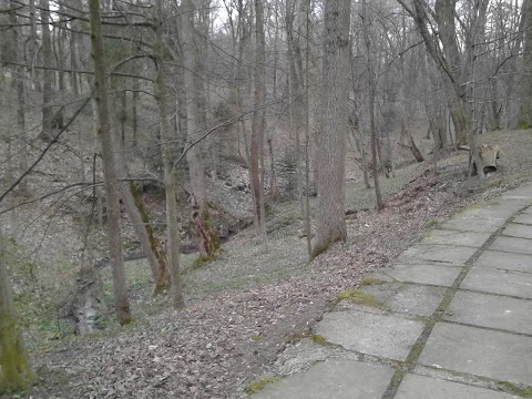 Пам'ятник Адамові Міцкевичу