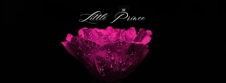 Little Prince (цветочный интернет-магазин)