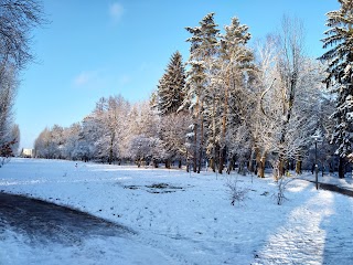 Левандівський парк