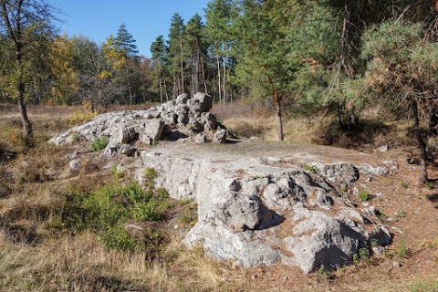 Басейн Гітлера