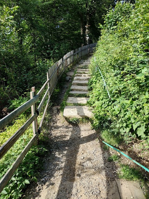 Pedestrian suspension bridge