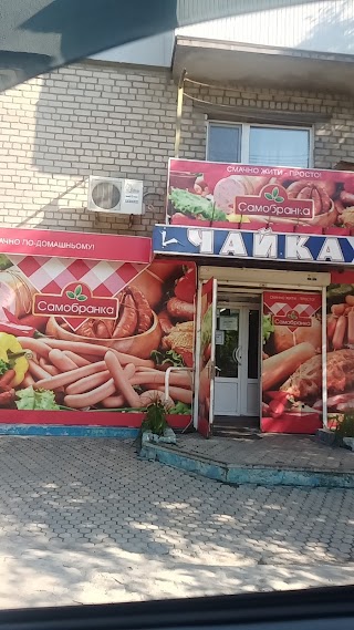 Чайка