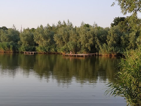 Ставок в Петродолинському