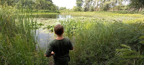 Заповідник "СтароДуб"