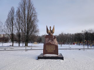 Йога занятия на природе