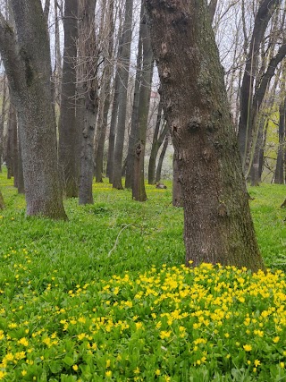 Парк Шиллера