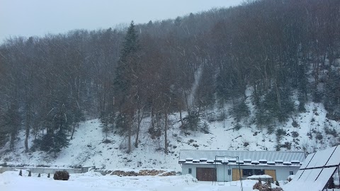 МОРШИНСЬКЕ БЮРО ПОДОРОЖЕЙ ТА ЕКСКУРСІЙ ФІЛІЯ ЗАТ ЛЬВІВТУРИСТ