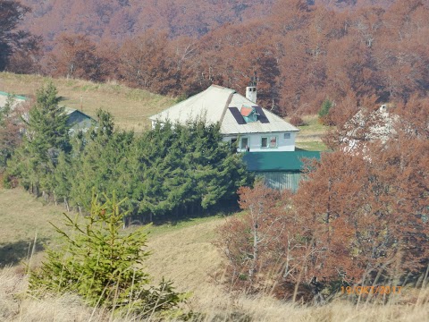 Перелісок