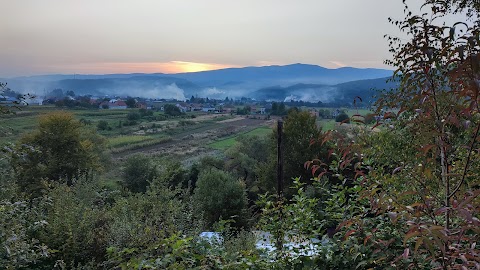 УПалька