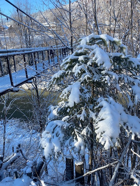 Pedestrian suspension bridge