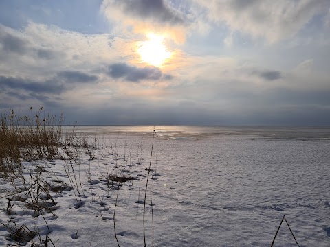 Київське Море Место Отдиха