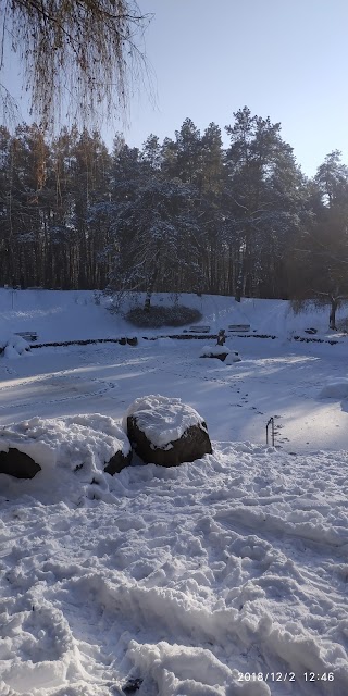 Територія ботанічної пам'ятки "Ландшафтне насадження дуба"