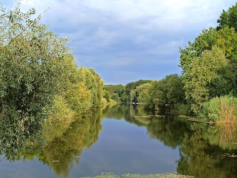 Ружичнянська коса