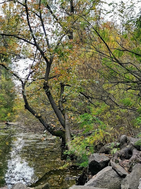 Струмок Вікторія