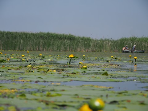 Запорізькі плавні