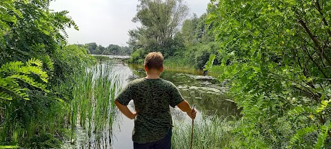 Заповідник "СтароДуб"