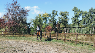 Конно-спортивная школа Vitvitskaya Equestrian Club_