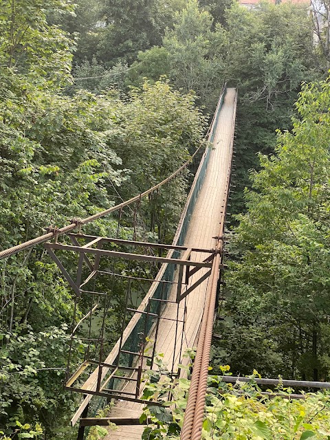 Pedestrian suspension bridge