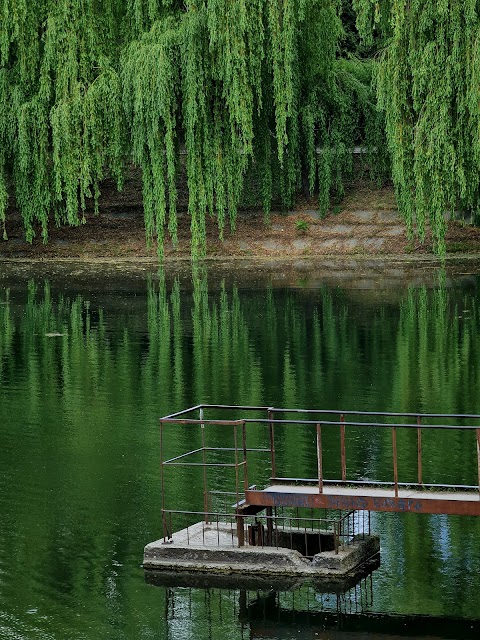 Піскові озера, Львів