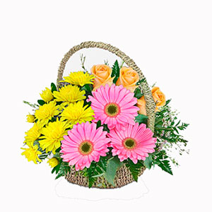 MoldovaFlowers Shop & Moldova Florist