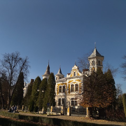 Міський парк ім. Шевченка