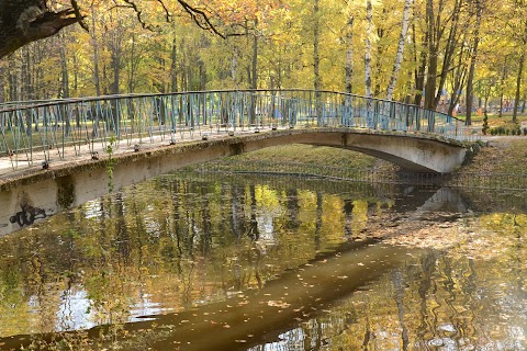 Міський парк ім. Шевченка