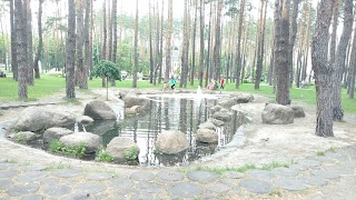 lake fountain