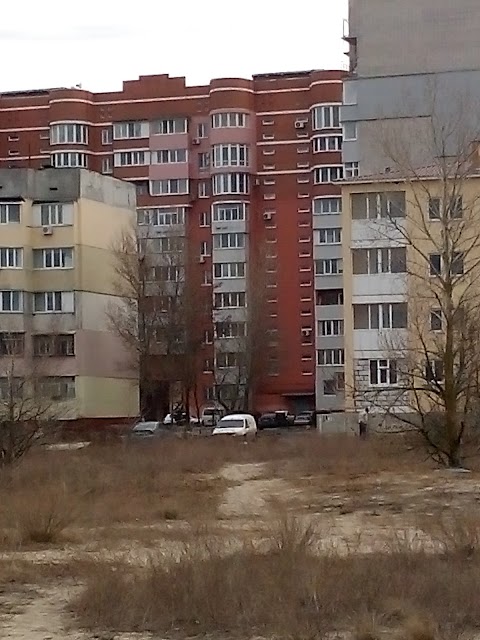 Патона 25