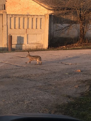 Інтерактивний Музей історії олії