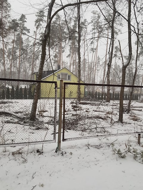 Dacha.che