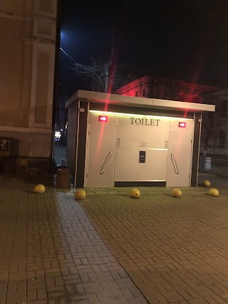 Toilet