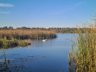 Зашківське водосховище