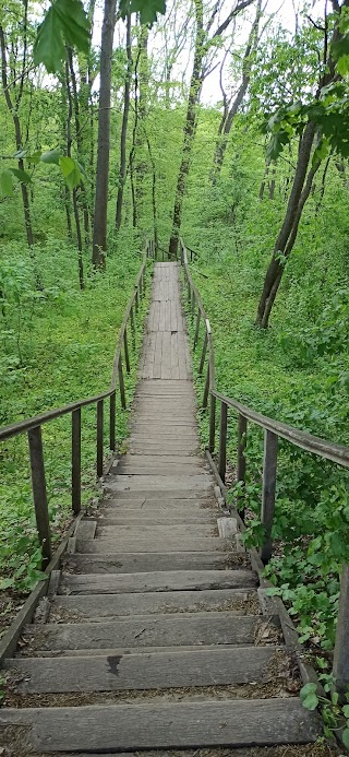 Джерело Святого Онуфрія Великого