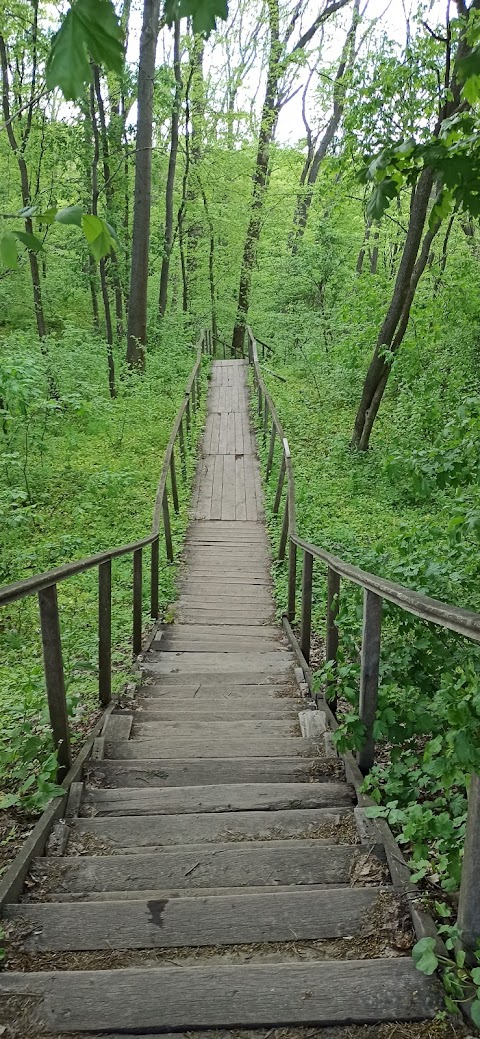 Джерело Святого Онуфрія Великого