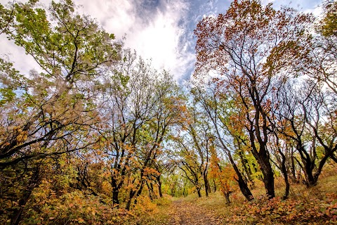 урочище Тонельна Балка