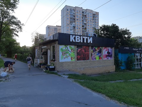 КВІТИ 24ч