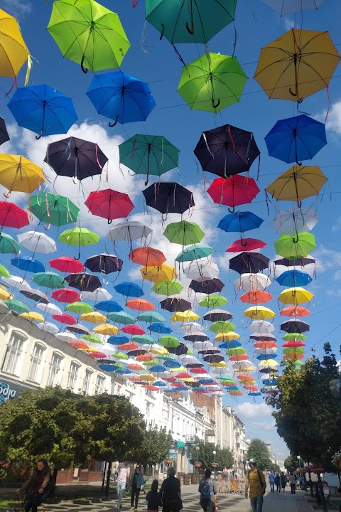 Цветные зонтики. Кольорові парасольки. The colour umbrellas.