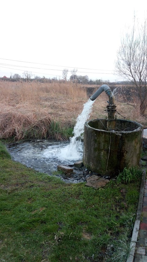 Джерело сірчаноі води