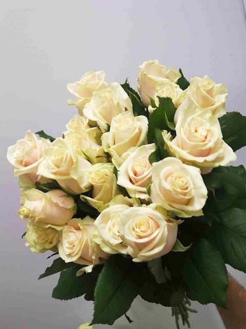 LITO flowers - Квіти і подарунки Полтава